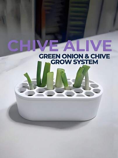 1pc Scallion Regeneration Kit - Grow Your Own Green Onions Indoors With Setup, No Skills Needed | Compact System For Balcony, Windowsill & Small Spaces | Regenerate Green Onions Quickly