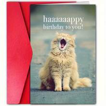 1pc Unique Cat Design Happy Birthday Greeting Card With Envelope, Suitable For Any Recipient Aged 0-100 - Single Piece - View 11