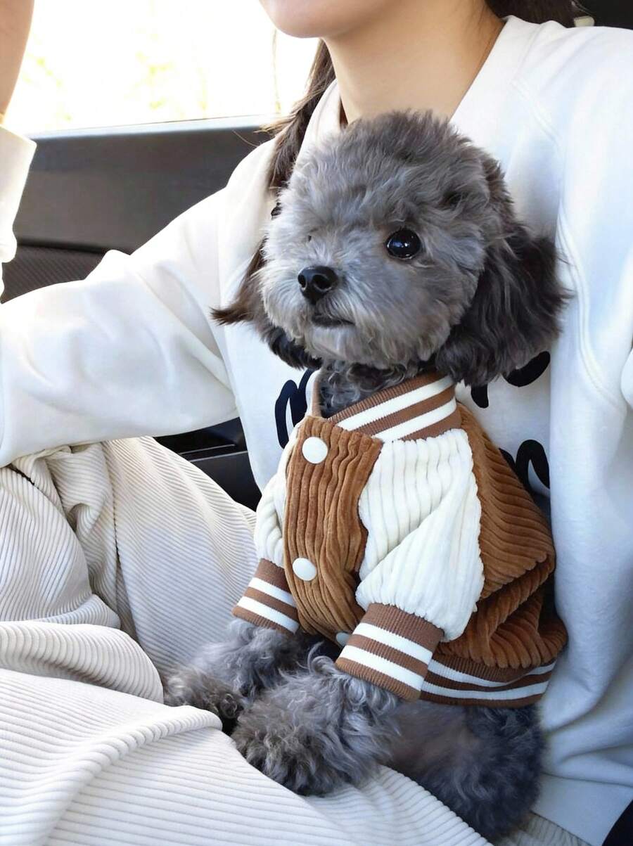 PETSIN 1件宠物ins风狗狗棒球夹克，时尚有趣的狗狗口袋刺绣设计，秋冬季猫狗服装