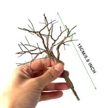 15-18厘米微型铁丝树干模型材料，手工制作仿真树，粉末状微型树模型，火车模型布局 - As photos - 查看 4