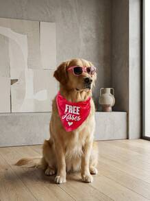 PETSIN 1 st extra stor alla hjärtans dag-bandana - röd med hjärtan och kysstryck - kraftig husdjursbandana, dregelhaklapp, alla hjärtans dag-present, alla hjärtans dag-outfit, hundbandana, söt hunddesign, slitstarka hundkläder - Multifärgad - Visa 2