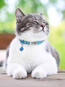 Personalized Cat Collar With Stainless Steel Nameplate, Multi-Color Reflective Paw Print Adjustable Nylon Cat Dog Collar With Bell And Customized ID Pendant Tag Ornamental, Engraved, Stainless, Cat Cuties, Customized Cat Tags Personalized Small - Multicolor - View 4