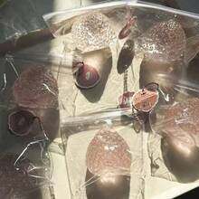 1个实心亮面大草莓挤压玩具，柔软Q弹的硅胶质感，缓解压力，刺激感官。手工制作的高品质透明粉色草莓奶油装饰，可DIY - 彩色 - 查看 5