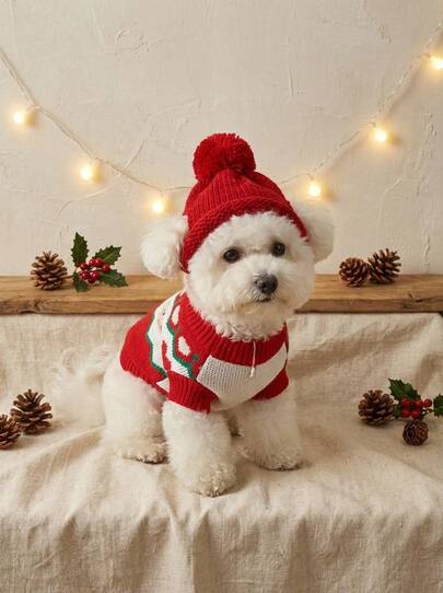 PETSIN 1pc Pet Knitted Hat, Cute Pom Pom Beanie For Dogs, Cat Accessories, Suitable For Small And Medium Pets