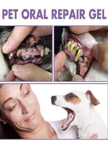 YEGBONG 2pcs Pet Oral Repair Gel, Deep Cleaning For Dog & Cat Teeth Stains, Oral Care & Repair Oral Mucosa Damage, Freshen Breath, Remove Plaque Without Brushing - Multicolor - View 4
