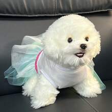 Spring Dog Lace Dress Pet Dog Clothes For Small Dog Party Birthday Wedding Dress Puppy Costume Pet Clothes - Multicolor - View 5