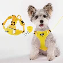 Set de 2 piezas y correa para perros pequeños y gatos grandes, chaqueta ajustable a prueba de escape con tiras reflectantes mejorada, chaleco de malla suave y transpirable para caminar al aire libre - Multicolor - Ver 3
