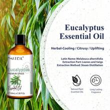 100毫升 PHATOIL 高级香草精油 3.38液体盎司，适用于护肤、香薰机、加湿器、按摩、DIY蜡烛、芳香疗法按摩浴，成分包含桉树、薄荷、依兰、佛手柑、茶树精油。 - 多樣化香型 - 查看 3