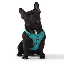 Soft Mesh Puppy And Leash Set, Escape Proof Cat , Adjustable Reflective Vest For Training Walks, Small/Medium Dogs & Cats - Multicolor - View 10