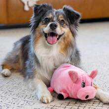 Outward Hound Fattiez Pig Plush Squeaky Dog Toy, Small - ColorC - 查看 5