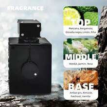 Fruity Birch Aromatic Eau de Parfum for Men 100ml, Long-Lasting Premium Scent, Perfect for Dates, Commutes & All-Season Wear - Cálido y picante - Ver 4