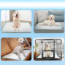 100 pieces 60x60 / 60x90 / 45x60 DOG MATS PADS FOR DOGS LEARNING TO urine, SIZE 100pcs 60x90 / 60X60 / 45x60 'HYGIENE PADS FOR LINGNING PING PING , FORGIEN, Pet FING, PING PING PING PING PING, G單元、PING , GING PING P鍛煉, 殼, I&WE, GS） Super Absorbent Training Pad for Dogs and Puppies | Potty Liners for Dogs, Floor Protection, Leak proof Pet Nappy Liners for Hedgehogs, Rabbits, Cats - 45*60 - 查看 11