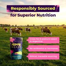 Beef Organ Dietary Supplement Capsules With Beef Liver, Kidney, And Heart From 100% Grass Fed, Pasture Raised Cattle - Source Of B-Complex Vitamins For Adult Use, 60 Capsules In Resealable Bag Package - 3 pcs - 查看 8
