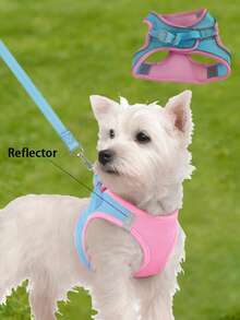 Small Dog Harness And Leash Set | Soft Lightweight Dog Vest Harness, Breathable Mesh Pet Chest Strap With Reflective Strips For Walking, Blue And Light Blue - Multicolor - View 1