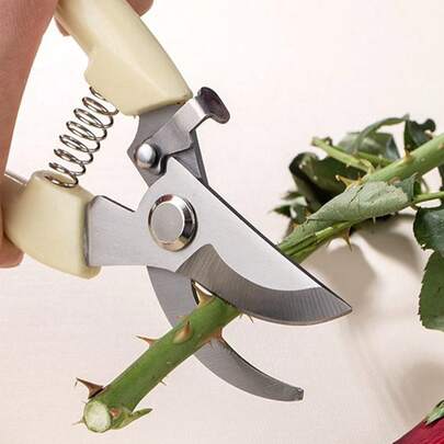 1pc Minimalist Pruning Shears, Stainless Steel Plant Branch Scissors For Garden