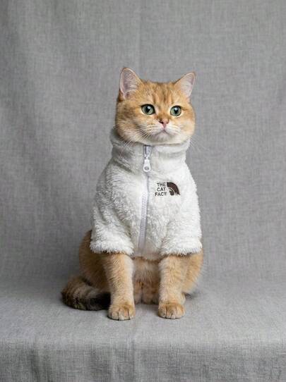 PETSIN Pet Autumn/Winter Clothes - Fleece Zipper Jacket For Hairless Cats, The Cat Face Print Design, Warm & Breathable For Sphynx Cats, Eye-Catching Outdoor Outfit