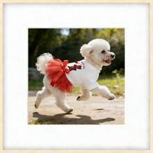 1pc Dog/Cat Valentine's Day Wedding Dress, Teddy/Poodle/Small Dog Princess Dress - White - View 3