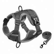 Soft Mesh Puppy And Leash Set, Escape Proof Cat , Adjustable Reflective Vest For Training Walks, Small/Medium Dogs & Cats - Multicolor - View 36