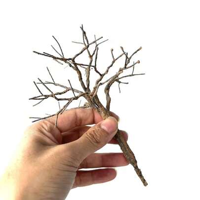 15-18厘米微型铁丝树干模型材料，手工制作仿真树，粉末状微型树模型，火车模型布局