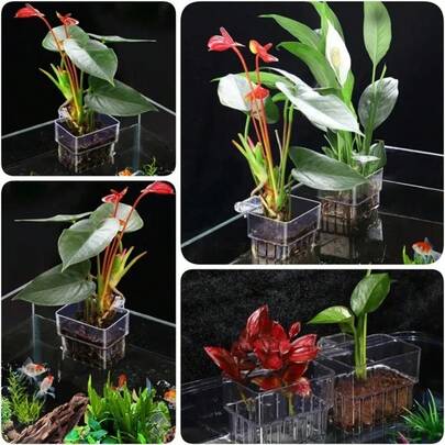 Aquarium Plant Holder Cup, Wall-Mounted Fish Tank Aquatic Plant Planter Cup, Fish Tank Decor Accessories, Easy To Install For Underwater And Floating Aquatic Plants