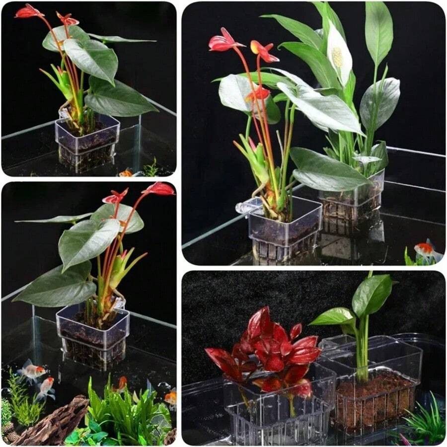 水族箱植物支架杯,壁挂式鱼缸水生植物种植杯,鱼缸装饰配件,易于安装,适用于水下和漂浮水生植物 - A - 查看 1