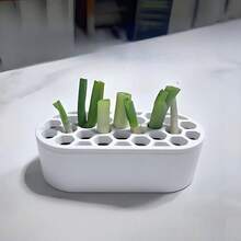1套葱再生套装 - 无需任何技巧，在家轻松种植葱 | 小巧系统，适合阳台、窗台和小空间 | 葱快速再生 - 種植器 - 查看 1