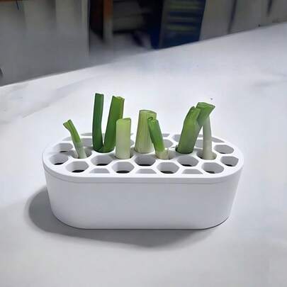 1套葱再生套装 - 无需任何技巧，在家轻松种植葱 | 小巧系统，适合阳台、窗台和小空间 | 葱快速再生