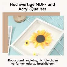 Shadow Boxes - เอ 4 - ดู 9