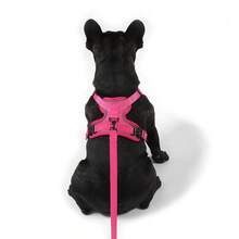 Soft Mesh Puppy And Leash Set, Escape Proof Cat , Adjustable Reflective Vest For Training Walks, Small/Medium Dogs & Cats - Multicolor - View 9