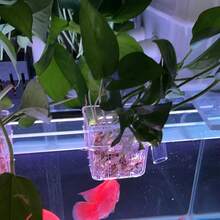 水族箱植物支架杯，壁挂式鱼缸水生植物种植杯，鱼缸装饰配件，易于安装，适用于水下和漂浮水生植物 - A - 查看 10