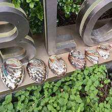 Weiß gemusterte Kieselsteine, große Abalonen, Muschelschmuck, Dekorationen, Heimdekoration, Muscheln, Aquarium, kreative Aquarium-Dekorationen, Weihnachtsgeschenke - Verschiedenfarbig - Übersicht 7