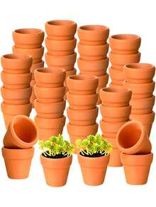 12个迷你花盆 - 塑料花盆，适合种植多肉植物、仙人掌和工艺品 - 非常适合窗台园艺、婚礼回礼和春季户外花园派对，手工制作，也适合作为万圣节、圣诞节、感恩节和丰收节的礼物和装饰品，以及春夏季装饰。 - 褐色 - 查看 6