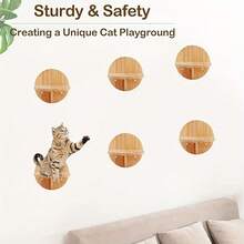 2/3/6件套圆形猫咪壁架，实木猫咪壁梯，室内猫咪攀爬墙栖架，最大承重12公斤（26磅） - 杏色 - 查看 4