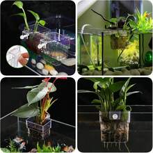水族箱植物支架杯，壁挂式鱼缸水生植物种植杯，鱼缸装饰配件，易于安装，适用于水下和漂浮水生植物 - A - 查看 3
