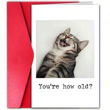1pc Unique Cat Design Happy Birthday Greeting Card With Envelope, Suitable For Any Recipient Aged 0-100 - Single Piece - View 4