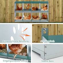 Pet Cages - 8-hole,Green - View 4