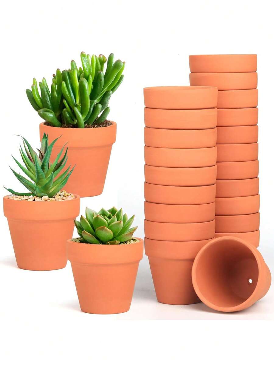 12个迷你花盆 - 塑料花盆，适合种植多肉植物、仙人掌和工艺品 - 非常适合窗台园艺、婚礼回礼和春季户外花园派对，手工制作，也适合作为万圣节、圣诞节、感恩节和丰收节的礼物和装饰品，以及春夏季装饰。 - 褐色 - 查看 1