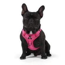 Soft Mesh Puppy And Leash Set, Escape Proof Cat , Adjustable Reflective Vest For Training Walks, Small/Medium Dogs & Cats - Multicolor - View 8