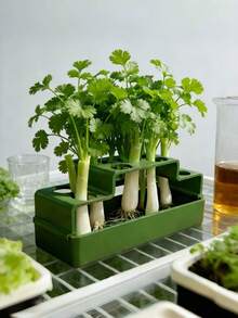 1pc Hydroponic Planter Designed For Growing Green Onions, Easy To Use At Home Without Soil, Allows Repeated Harvesting Of High-Quality Produce - A - View 5