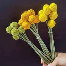 1束9头金球槌花鼓槌菊花金棒球人造花束，家居装饰，桌面摆件，咖啡桌装饰品 - 多色 - 查看 7