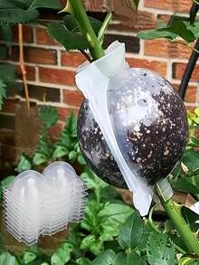 3pcs Reusable Plant Rooting Device, Air Layer Pod, Plant Rooting & Growth Box, High Pressure Propagation Ball Grafting Device Plant Root Controller Garden Plant Rooting Box (White) - Thickened Version - View 2