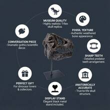 LUMIARTISAN Collectible Dinosaur Skull Model | T-Rex & Saber Tooth Tiger Resin Fossil Decor | Desk Display Gift - A - View 3