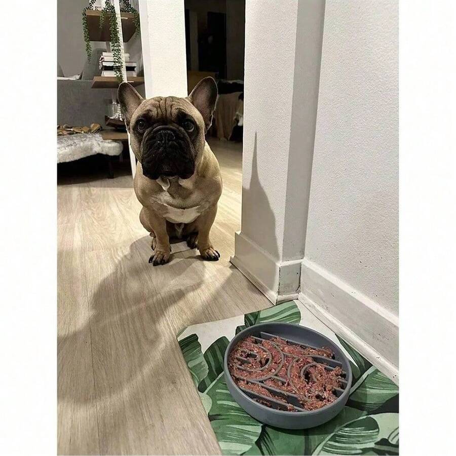 Anti-Spill Anti-Slip Pet Slow Feeder Bowl, Silicone Non-Choke Dog Food Bowl, Cat Food Dish, Pet Supplies - 100ml - View 1