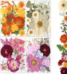 Buzidao 80Pcs Pressed Flowers, Dried Flowers Natural Pressed Flowers Bulk For Resin Molds, Nail Art, Scrapbooking, Candle Holder, Jewelry Making, Real Dried Pressed Flowers DIY Crafts Supplies Kit - ColorB - 查看 1