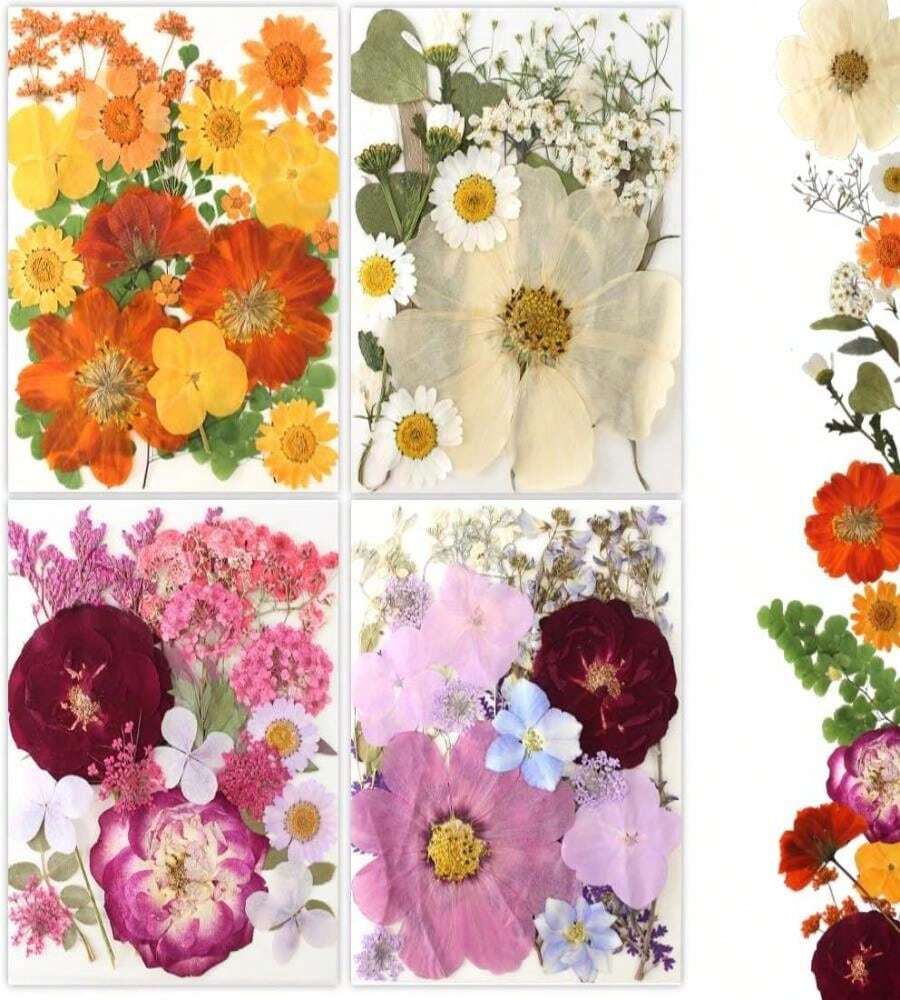 Buzidao 80Pcs Pressed Flowers, Dried Flowers Natural Pressed Flowers Bulk For Resin Molds, Nail Art, Scrapbooking, Candle Holder, Jewelry Making, Real Dried Pressed Flowers DIY Crafts Supplies Kit - ColorB - 查看 1
