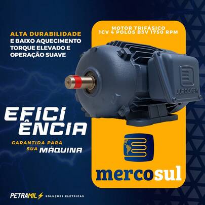 Motor 1CV Mercosul  – 4 Polos, 1750RPM, Trifásico Profissional (BND8003026)
