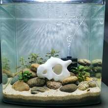 Hot Selling Skull Compatible With Aquarium,Reptile,Fish Tank,Arachnid New - B - View 7