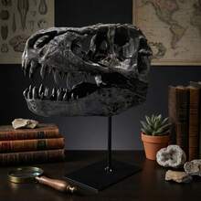 LUMIARTISAN Collectible Dinosaur Skull Model | T-Rex & Saber Tooth Tiger Resin Fossil Decor | Desk Display Gift - A - View 2