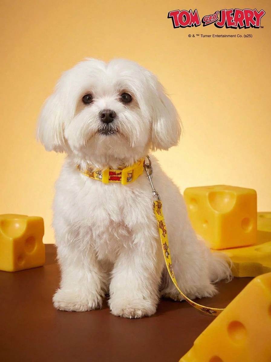 TOM & JERRY X PETSIN 1pc Yellow Background Pet Leash - View 1