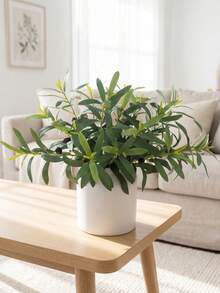 Multicolored Olive Branch